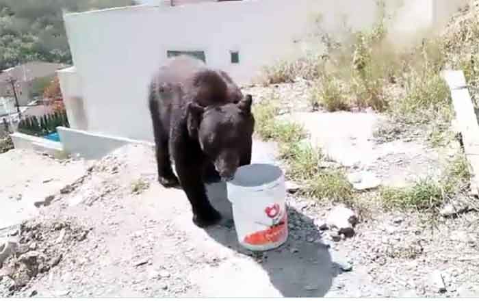 OSO