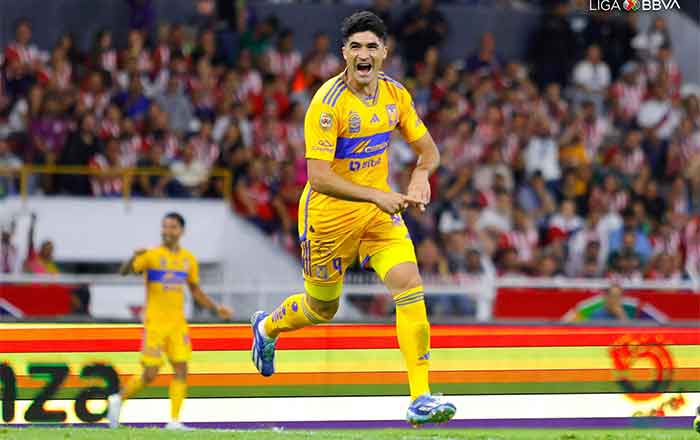 TIGRES