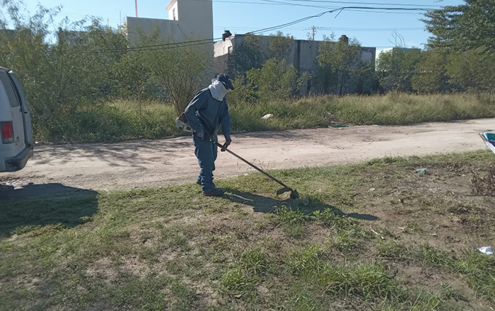 Brindan mantenimiento a áreas verdes en Río Bravo 2 370259574 1728572170994714 1490469103349176051 n
