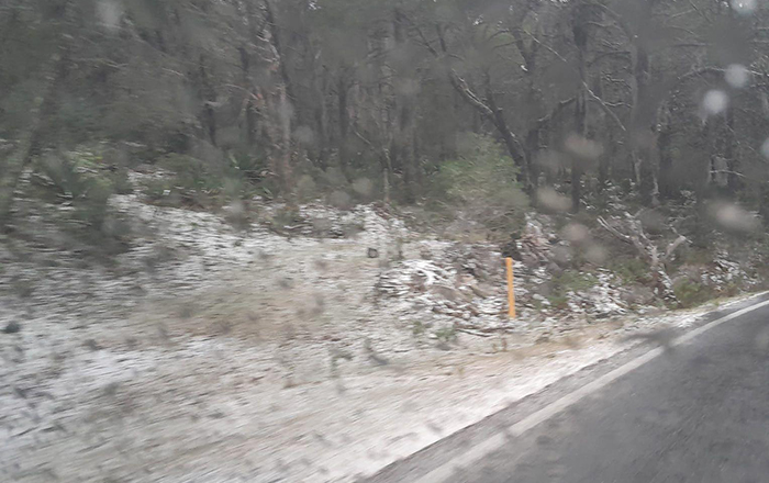 Ingreso de tormenta invernal provoca caída de nieve en NL 1 399195806 701868318325605 1911835324505409614 n