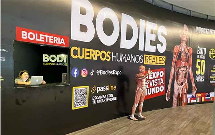 Sorprende expo 'Bodies: Cuerpos Humanos Reales' 3 BODIES 2
