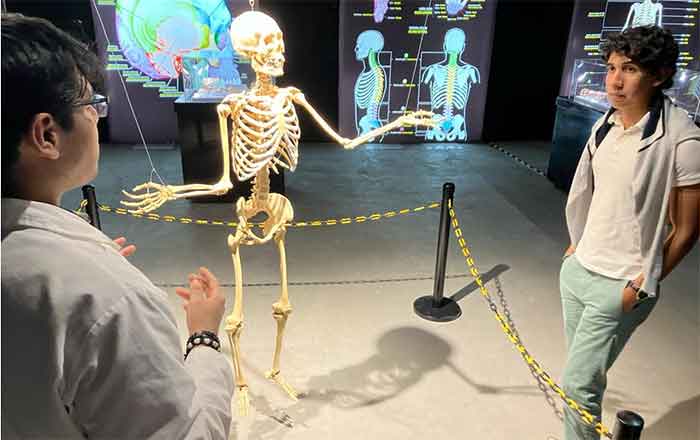Sorprende expo 'Bodies: Cuerpos Humanos Reales' 1 BODIES 3