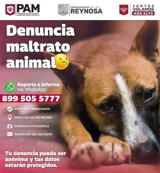 Atiende Protección Animal Reynosa denuncias ciudadanas 1 CARTEL