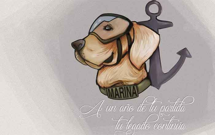 Alista Marina homenaje a 'Frida', la perrita rescatista 1 FRIDA 2