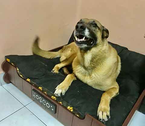 ‘Hosco’ y yo: Si me pareciera un poco a él… 2 HOSCO 3