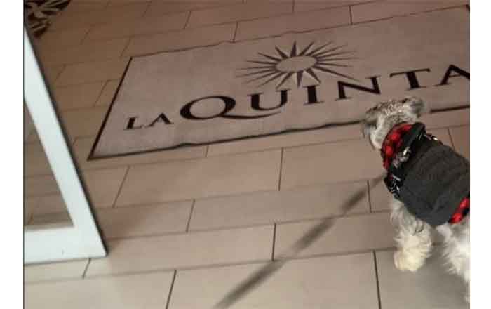 Aceptan a mascotas en hoteles de McAllen 1 LA QUINTA