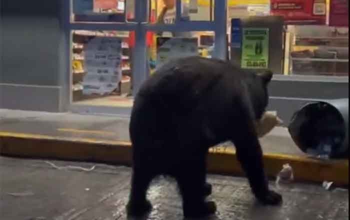 OSO