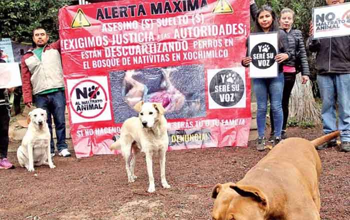 PERROS