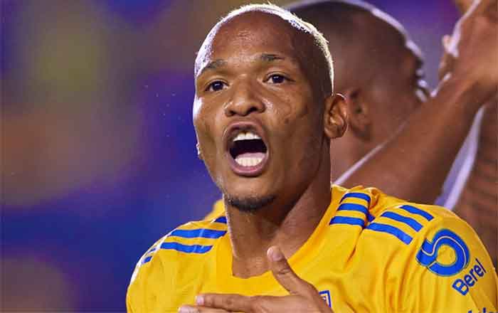TIGRES