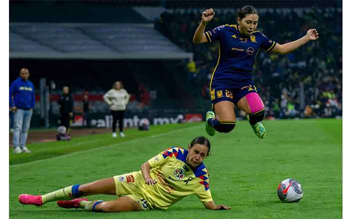 TIGRES-FEM