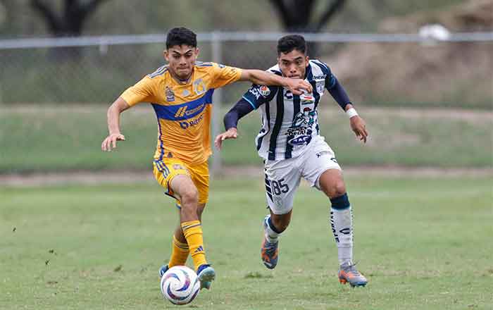 TIGRES-SUB-23