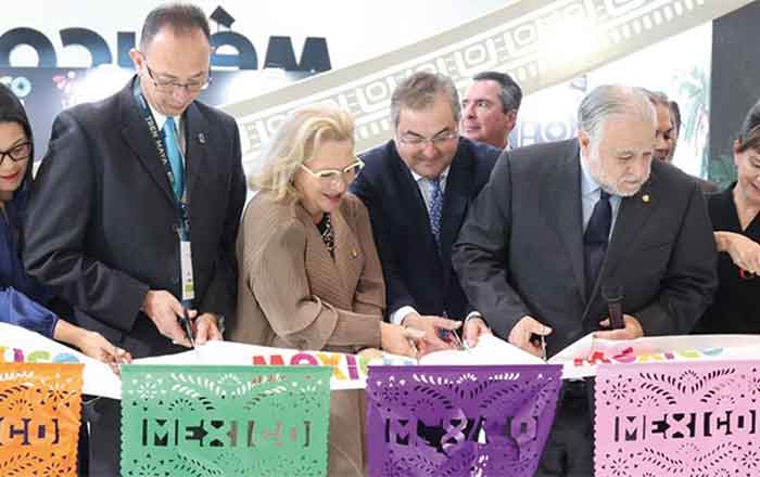 TREN-MAYA-VAGON