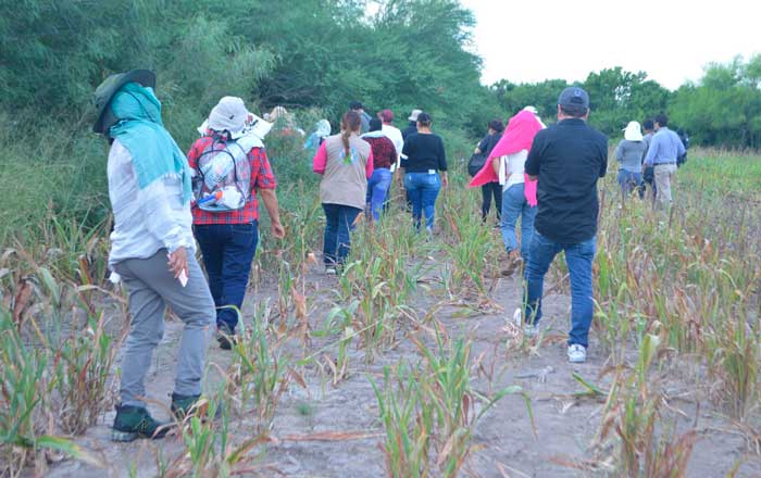 Defensora gana recurso de amparo contra la CEAV 1 buscadoras