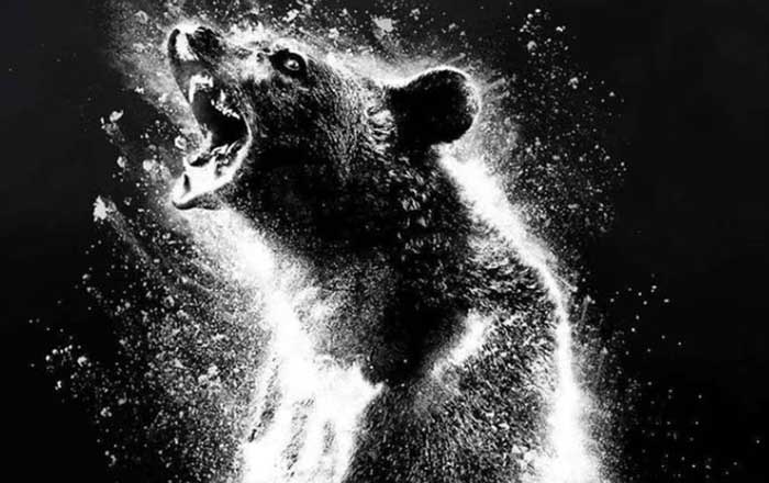oso