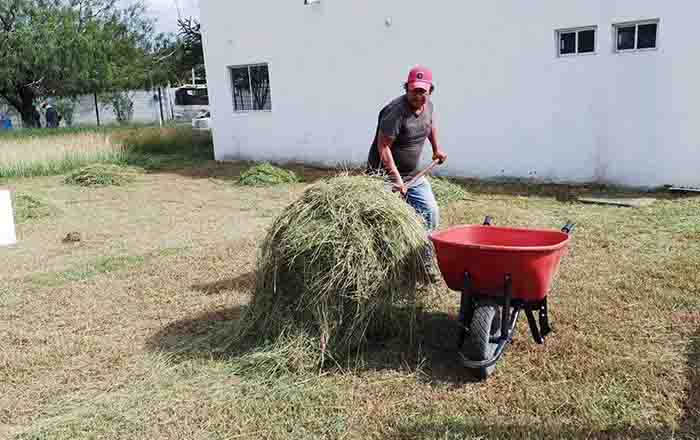 Llevan limpieza a centros de esparcimiento en Río Bravo 1 385535566 1061530121540770 7413582695384580908 n