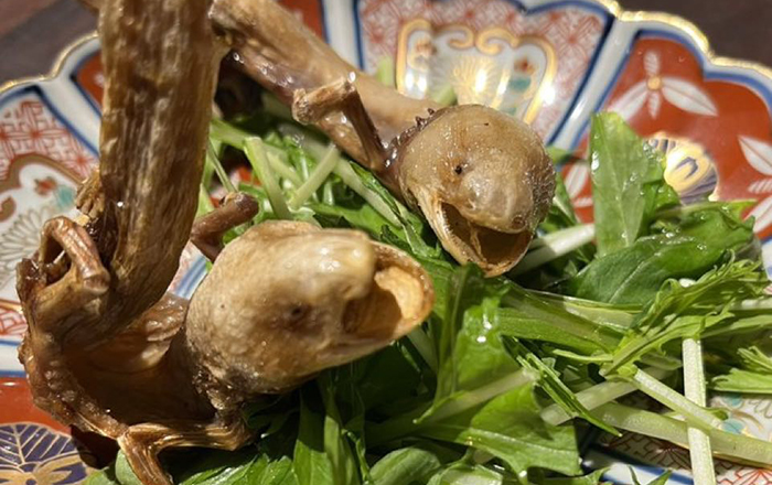 Ajolotes fritos se ofrecen como platillo exótico en restaurante japonés 1 403402583 727650849282404 5869208837086714054 n