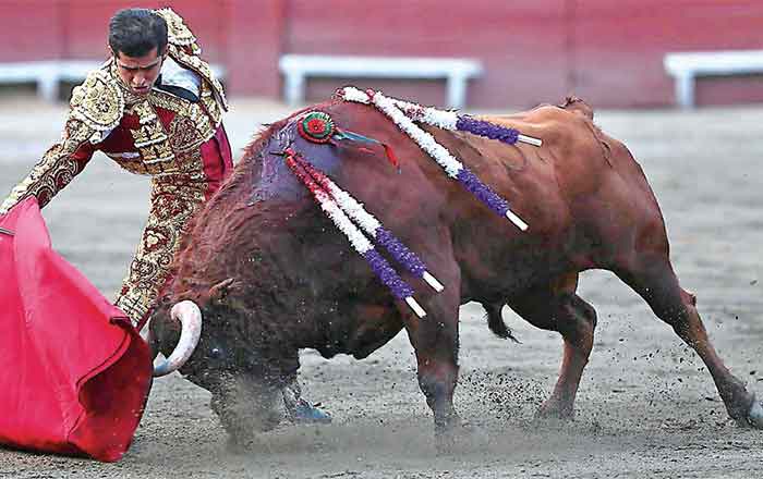 TOROS