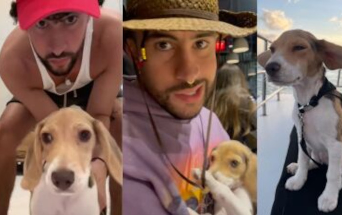 ¿En quién se inspiró Bad Bunny para "Ojitos lindos"? 1 bad bunny sansa