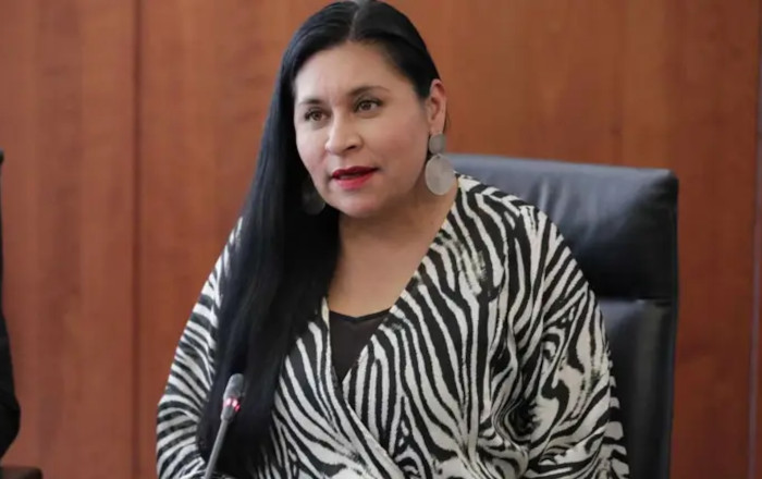 senado-decidira-fideicomisos