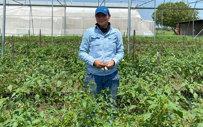 UAT identifica plantas con potencial bioinsecticida 1 407121346 634873318665827 8788065948930579330 n