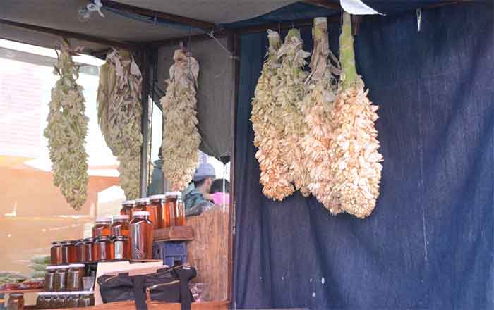 Las chochas de Tamaulipas, una rica tradición en Victoria 1 CHOCHAS