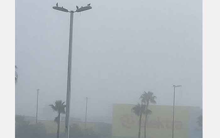 'Amanece' Reynosa con densa neblina; suspenderían clases el martes 1 NEBLINA