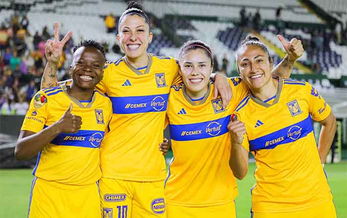 TIGRES-FEM
