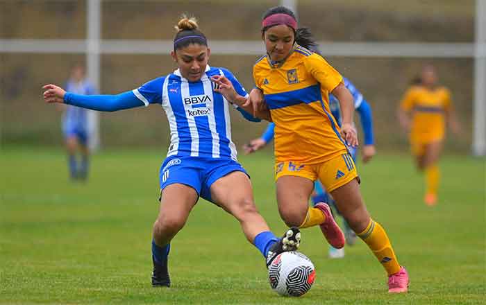 TIGRES-SUB-19