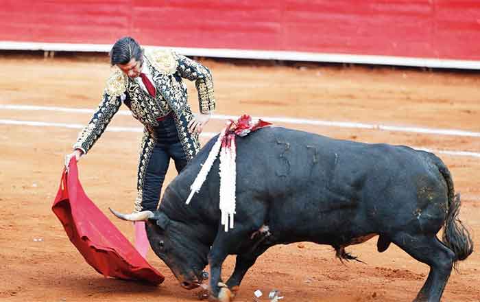 TOROS