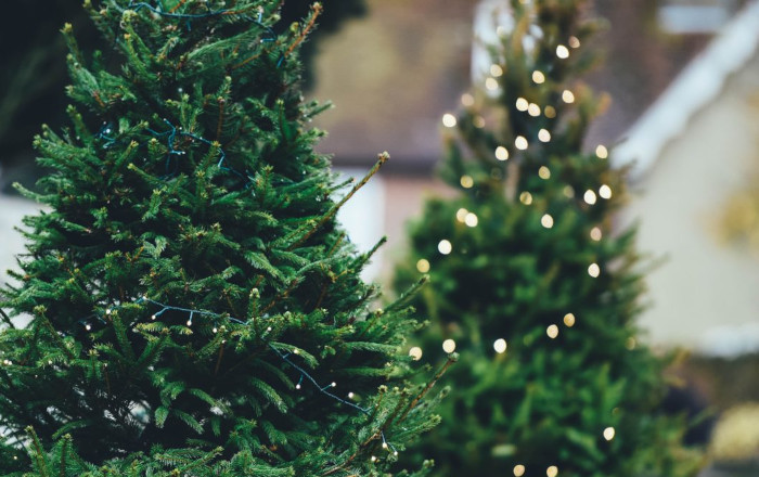 arbol-navidad