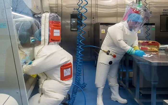 lab