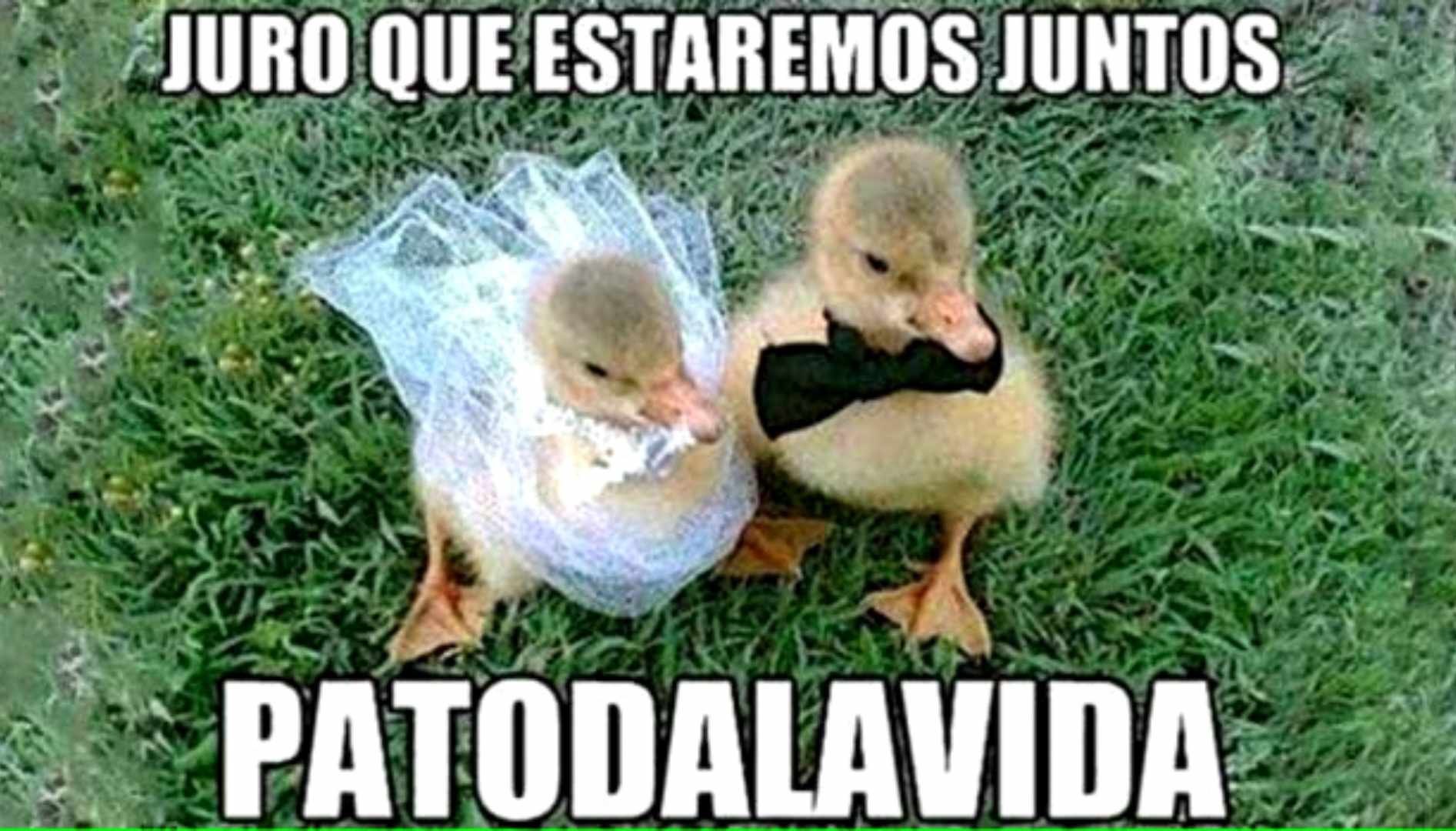 Los mejores memes de este 14 de febrero en San Valentín 6 417843731 1594599784412629 6711460755622752787 n