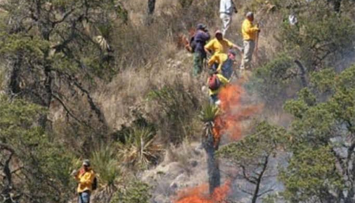 INCENDIO