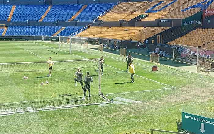 TIGRES