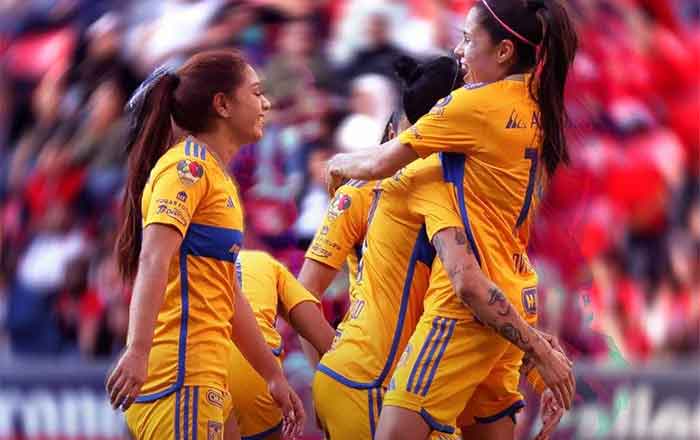 TIGRES-FEM