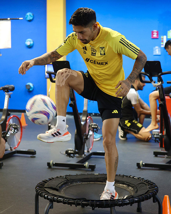 Regresa Tigres a entrenar pensando en América 1 430368202 429905229483193 8197386464609729120 n