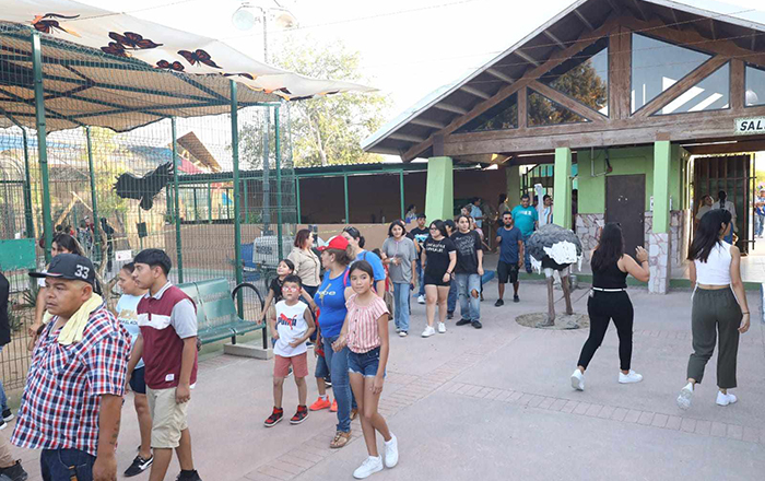 Invita a pasar un fin de semana en el zoológico de Nuevo Laredo 3 431976591 1105546927438182 6125101847095371436 n
