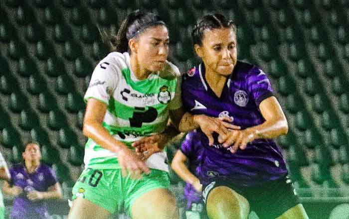 SANTOS-FEM