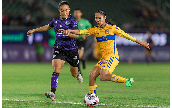 TIGRES-FEM