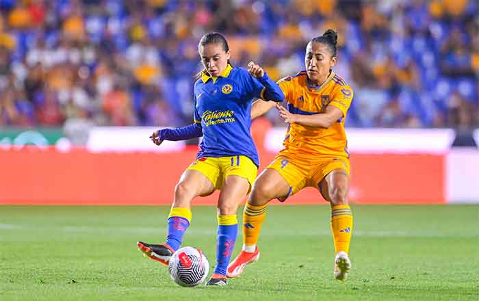 TIGRES-FEM