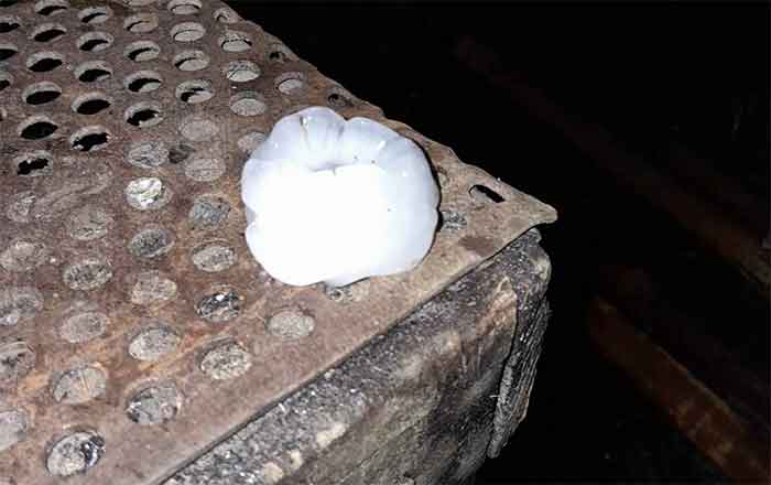 Sorprende lluvia y granizada en Reynosa en mayo (VIDEO) 1 BOLA