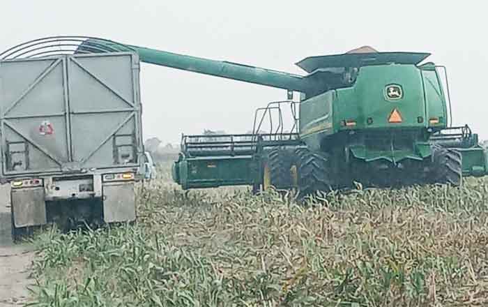 SORGO