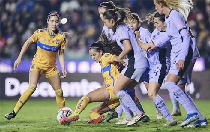 TIGRES-FEM