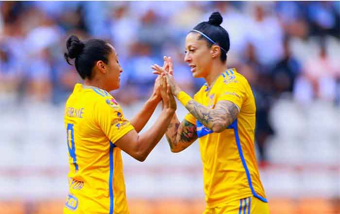 TIGRES-FEM