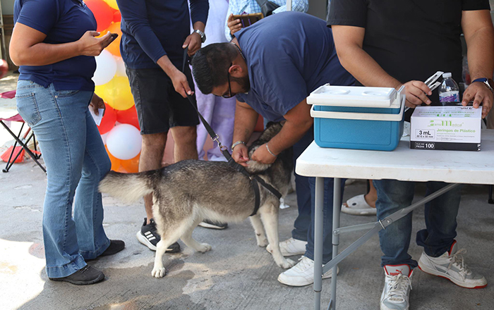 Realizan Feria de Adopción y Vacunación en centro antirrábico de Reynosa 1 448662154 1662463974587259 4048490475610727119 n