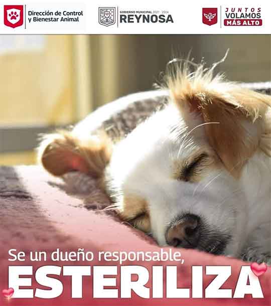 Gobierno de Carlos Peña Ortiz garantiza atención y protección animal 1 ANUNCIO