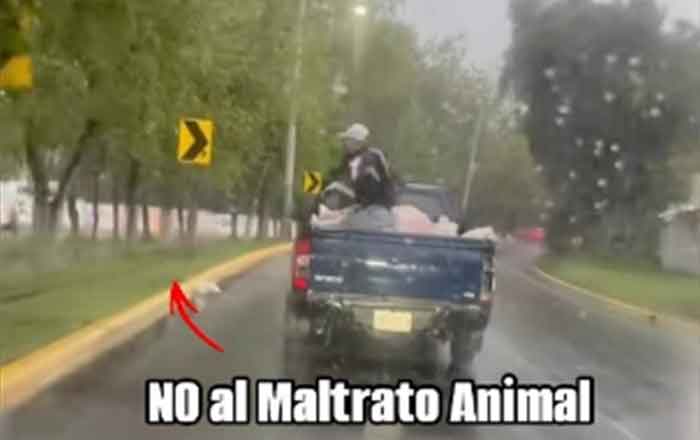 MALTRATO