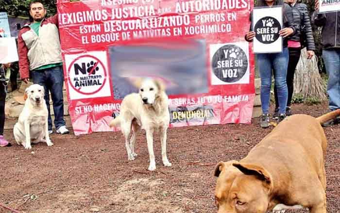 PERROS