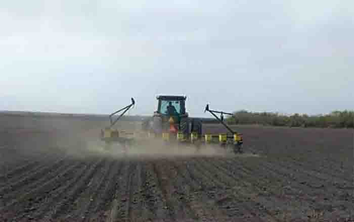 CAMPO