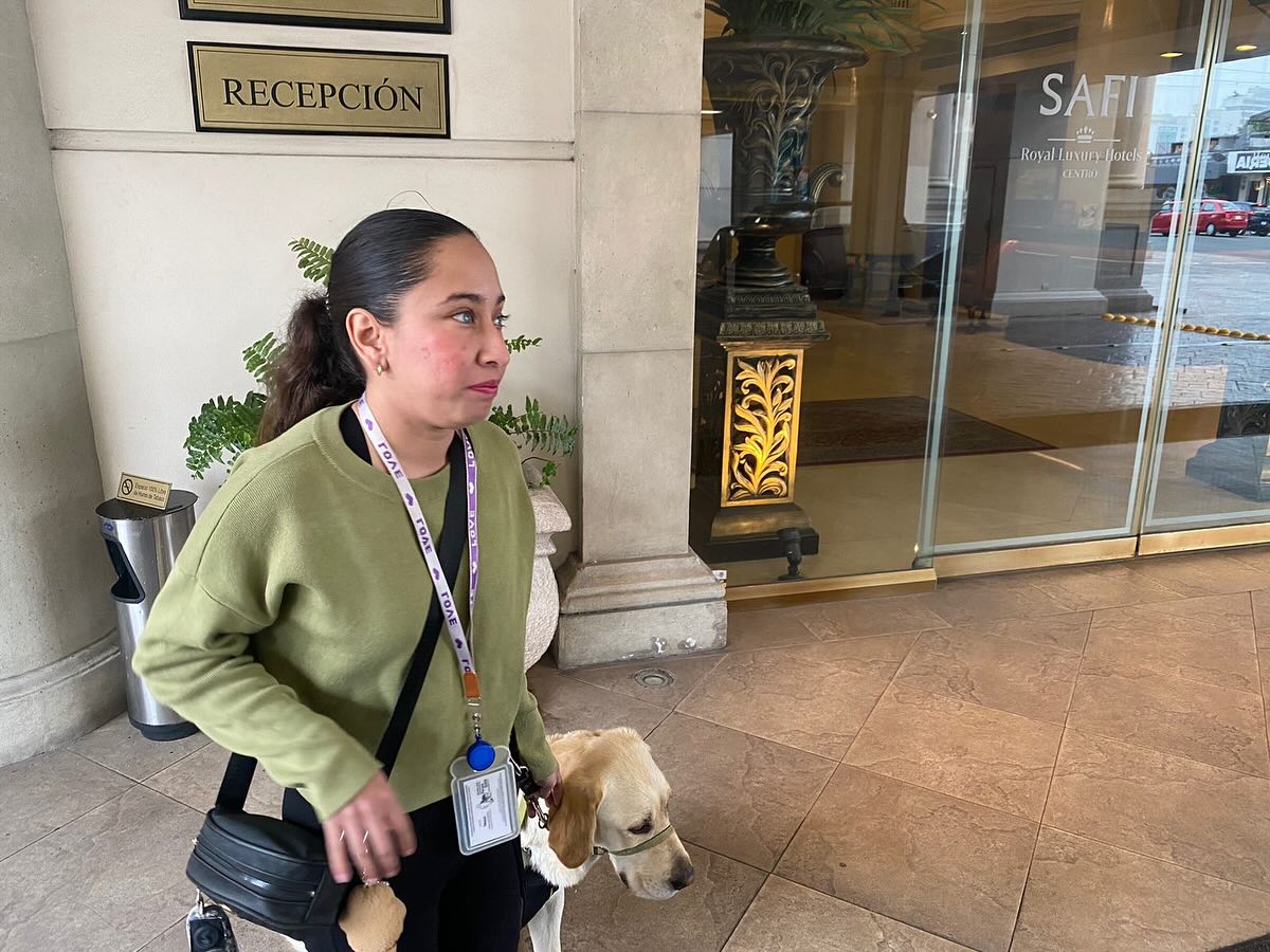 Niegan acceso a mujer con discapacidad y su perro guía en hotel de NL 1 GfBkb9PbIAAyeUD